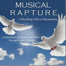 Обложка альбома - Frederic Delarue - Musical Rapture