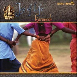 Обложка альбома Karunesh - Joy of Life