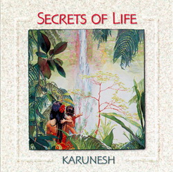 Обложка альбома Secrets of Life